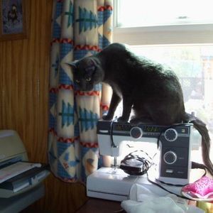 Meet your Posher, Kathy